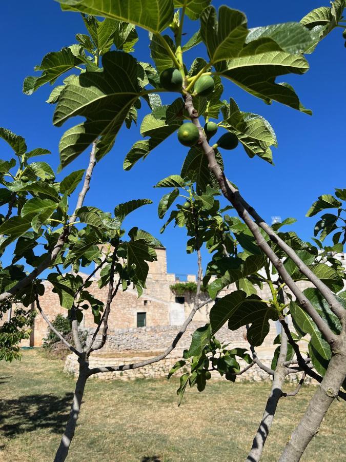 Masseria Contursi - Donna Camilla Santeramo in Colle Exterior foto